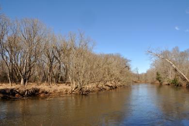 Sandee Neuse River