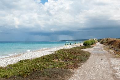 Sandee Elli Beach