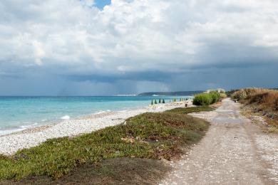 Sandee Elli Beach Photo