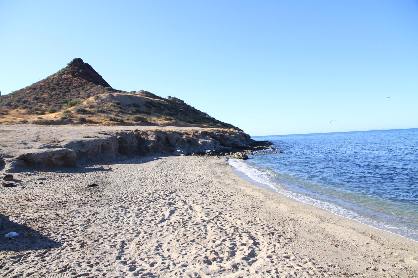 Bahia de Kino Photo - Sandee