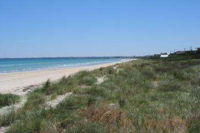 Sandee - Aspendale Beach