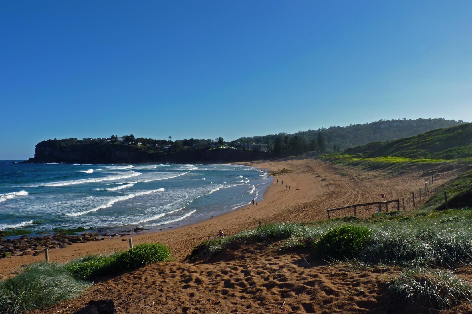 Sandee - Avalon Beach