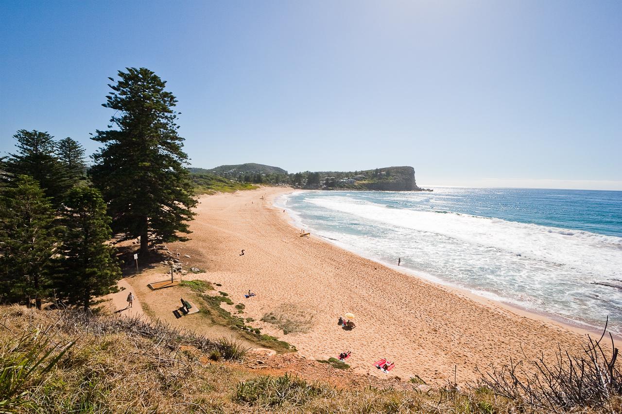 Sandee - Avalon Beach