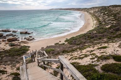 Sandee Berry Beach Photo