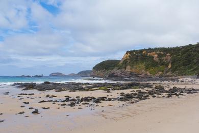 Sandee Bushranger Bay Photo