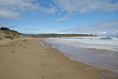 Sandee Cape Woolamai North Photo