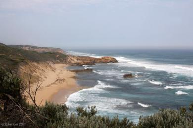 Sandee Cheviot Beach Photo