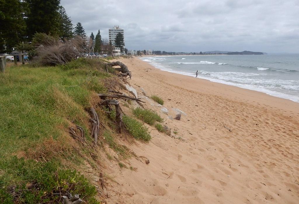 Sandee Collaroy Beach
