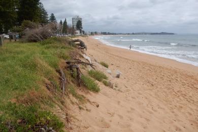 Sandee Collaroy Beach