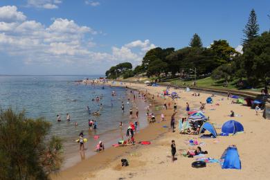 Sandee Cowes Beach