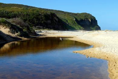 Sandee - Dudley Beach