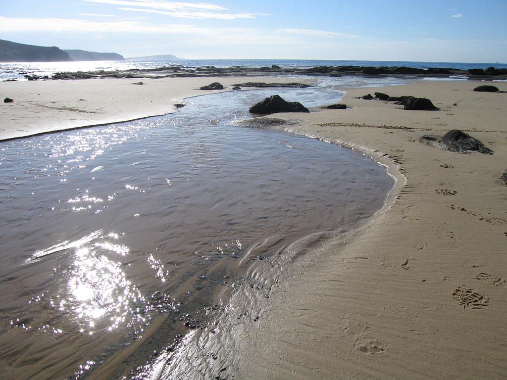 Sandee - Dudley Beach