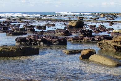 Sandee - Dudley Beach