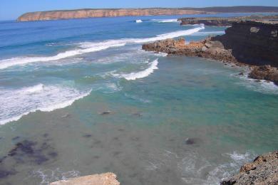 Sandee Elizabeth Cove