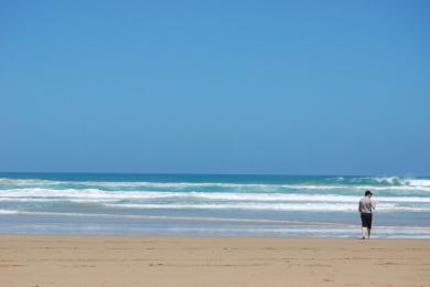 Sandee - Fairhaven Beach