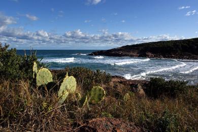 Sandee - Fishermans Bay