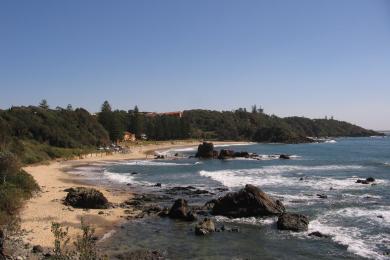 Sandee Flynn Beach Photo