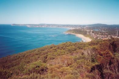 Sandee Forresters Beach Photo