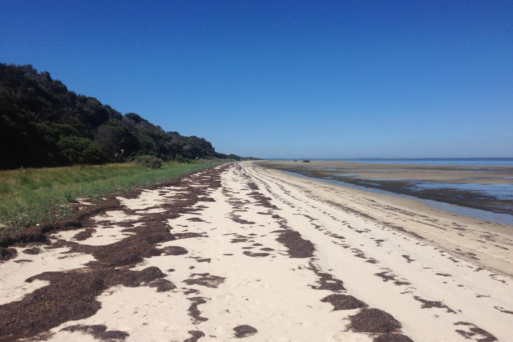 Sandee - French Island Beaches