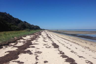 Sandee French Island Beaches