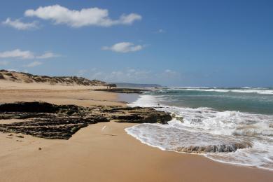 Sandee - Gunnamatta Beach