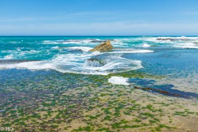 Sandee Gunnamatta Beach