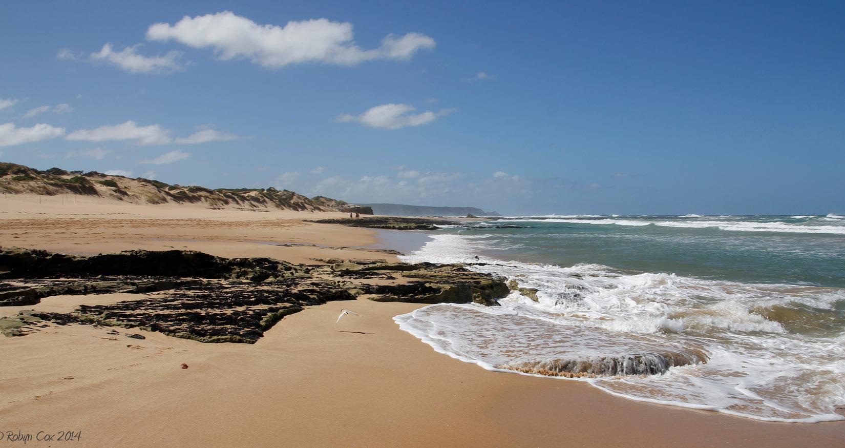 Sandee - Gunnamatta Beach