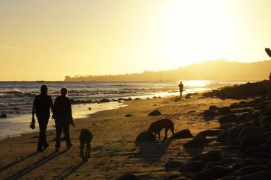 Sandee - Butterfly Beach