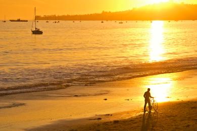 Sandee - Butterfly Beach