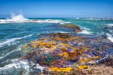 Sandee Mornington Park Beach Photo