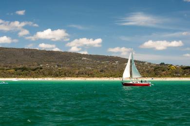 Sandee Point Nepean Photo