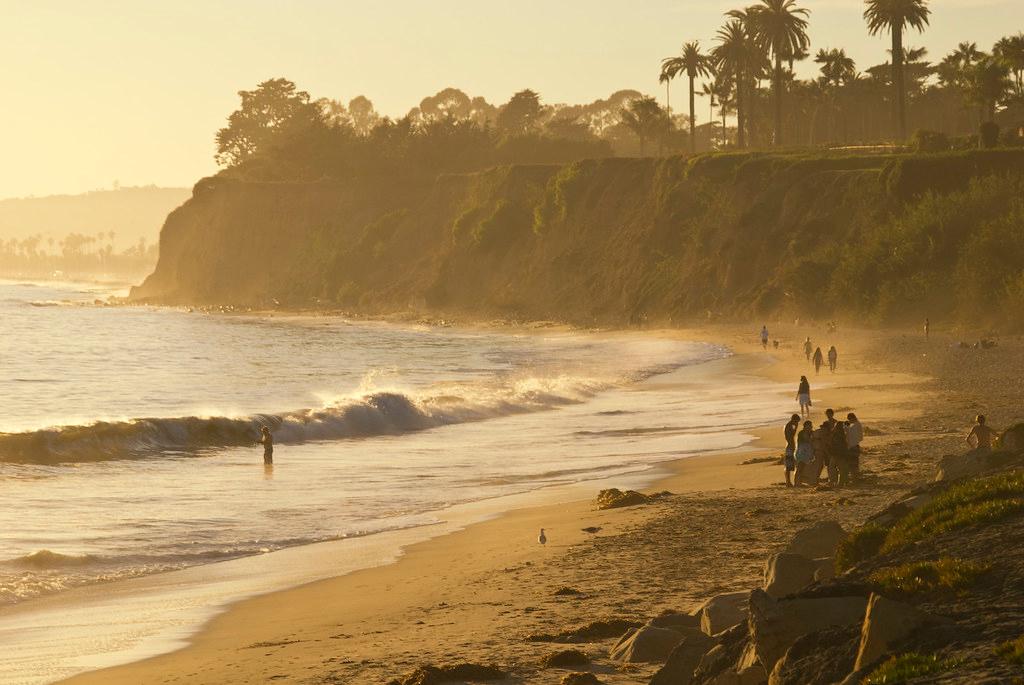 is butterfly beach dog friendly