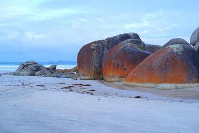 Sandee Red Rock Beach