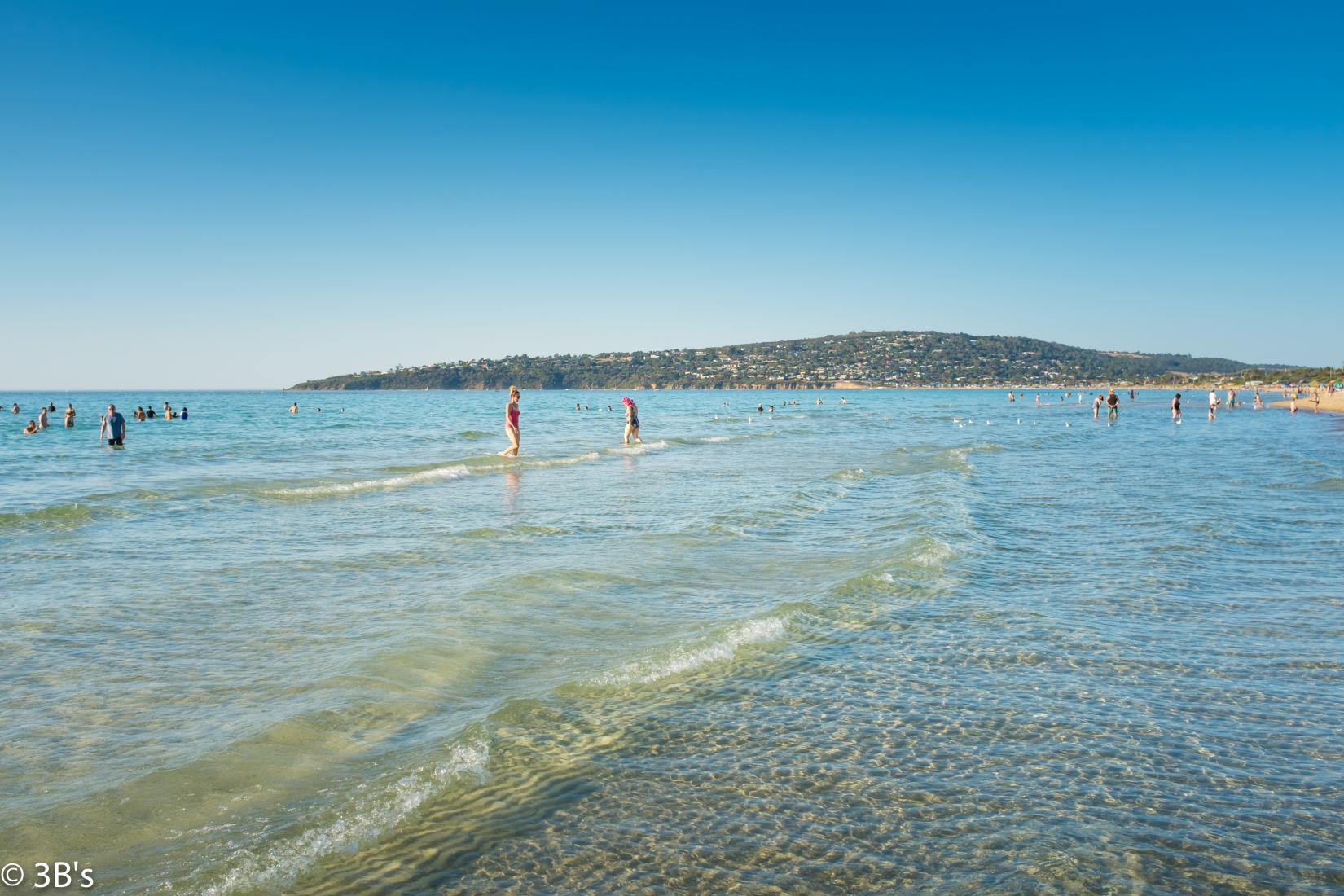 Safety Beach Photo - Sandee