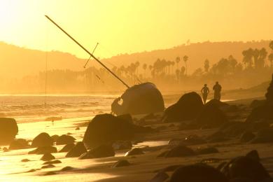 Sandee - Butterfly Beach