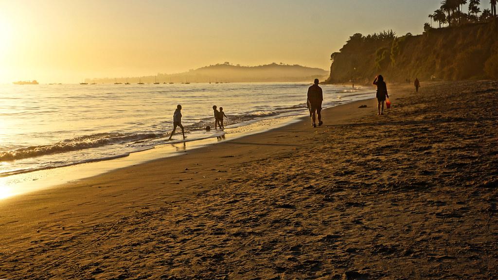 is butterfly beach dog friendly