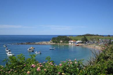 Sandee Terrigal