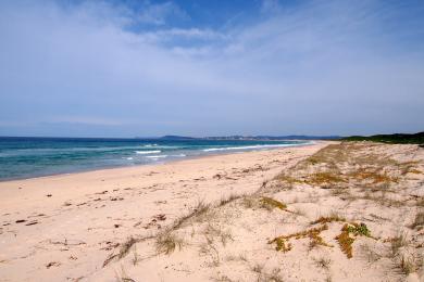 Sandee Tuggerah Beach