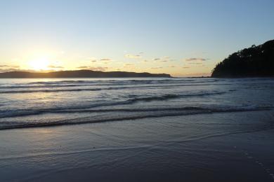 Sandee Umina Beach