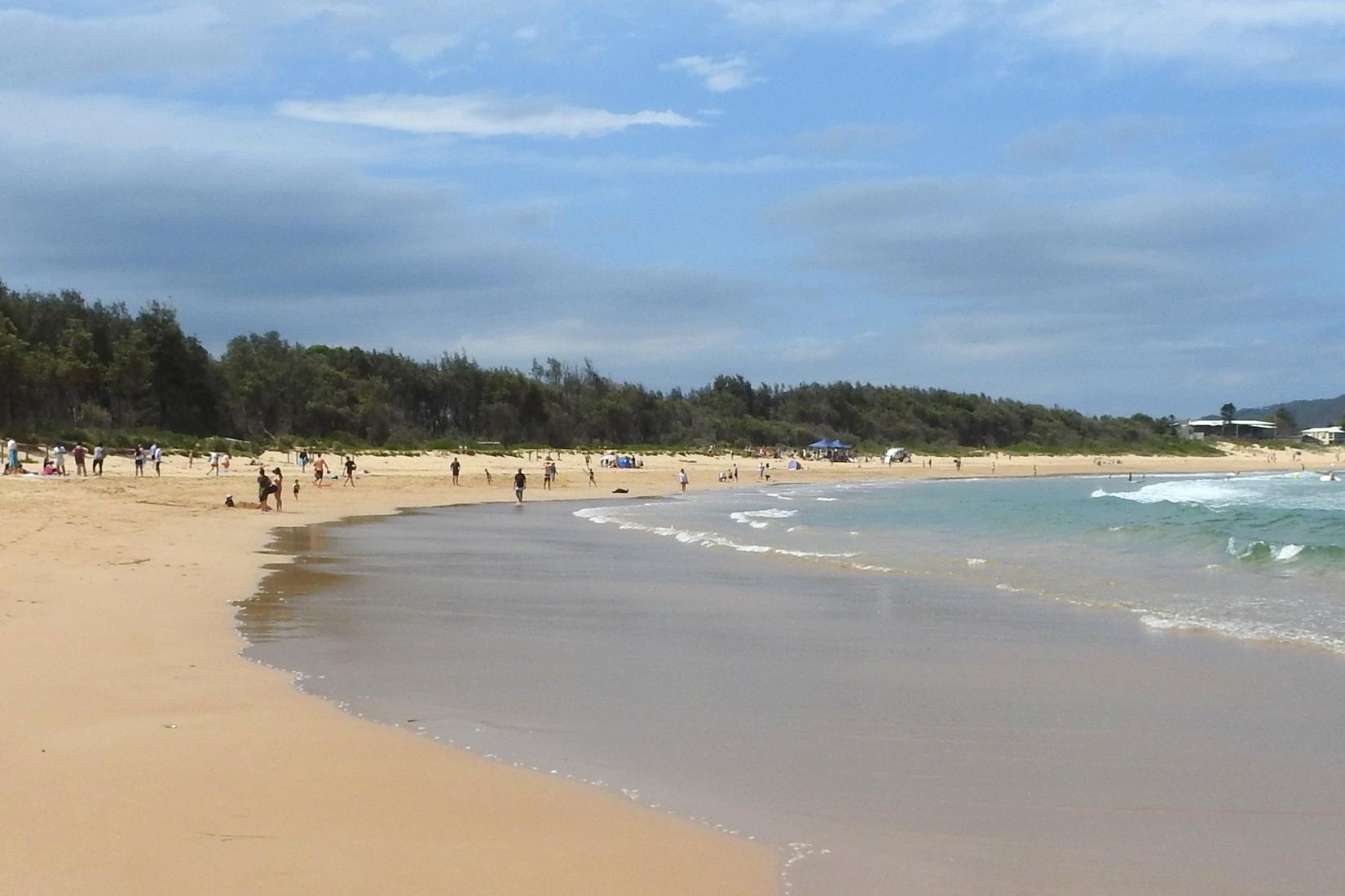 Sandee - HomePage / Umina Beach