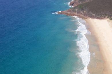 Sandee - Zenith Beach