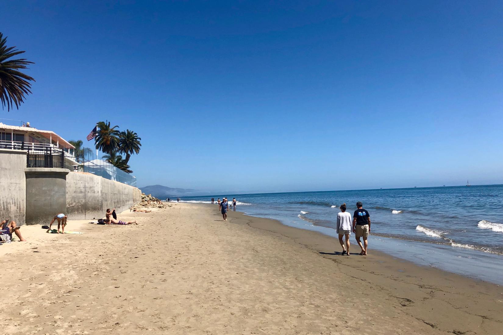 is butterfly beach dog friendly