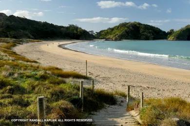 Sandee Matopouri Bay Photo