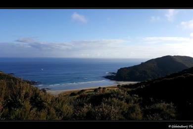 Sandee - Tapotupotu Bay