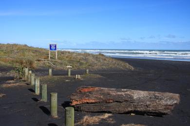 Sandee - Karioitahi Beach