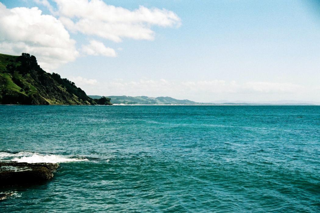 Sandee Pakiri Beach Photo