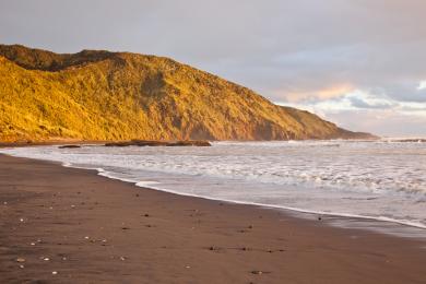 Sandee Sunset Beach