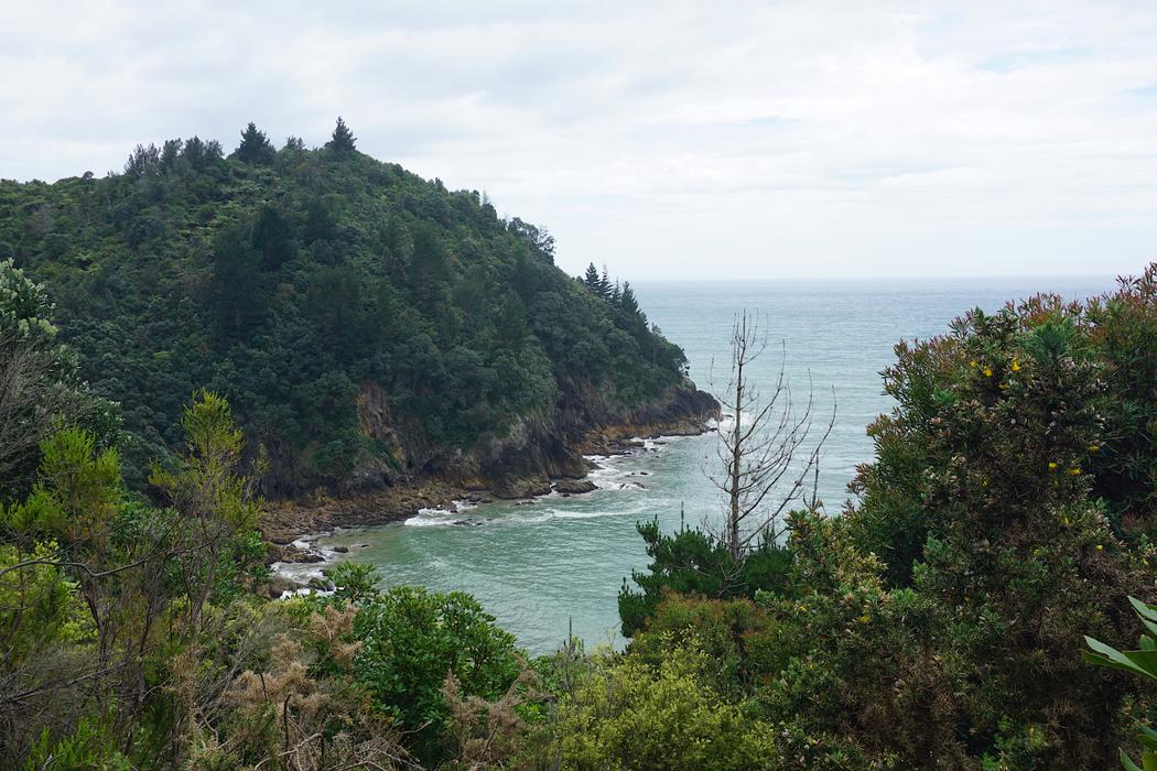 Sandee Waihi Beach