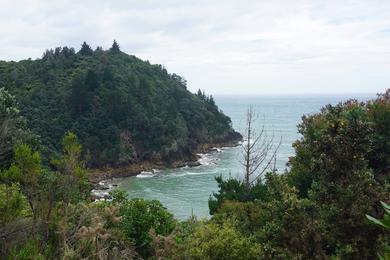 Sandee Waihi Beach Photo