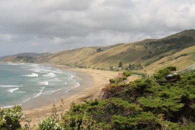 Sandee Wainui Beach
